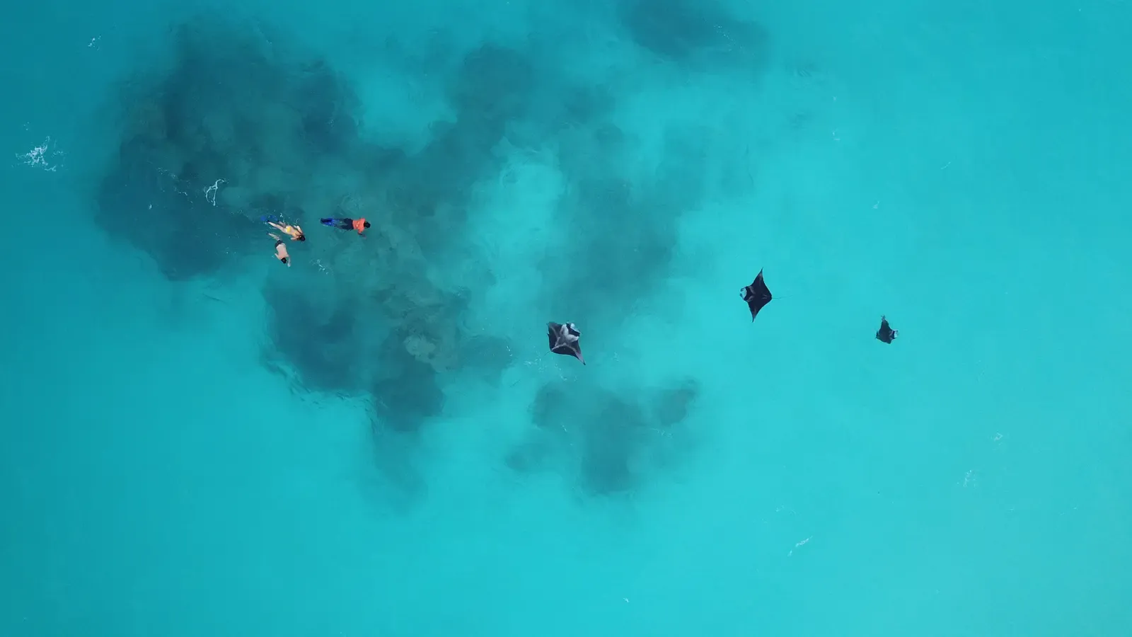 Underwater reef scene near Ukulhas